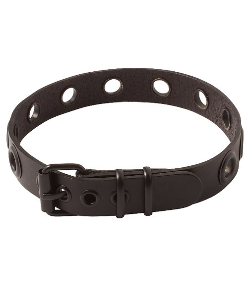 an meets zakka（アンミツザッカ）の「an meets zakka ブラックハトメベルトチョーカー（チョーカー・レディース・ブラック・ONE SIZE）」の3枚目の写真