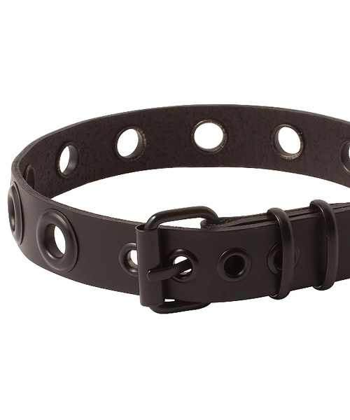 an meets zakka（アンミツザッカ）の「an meets zakka ブラックハトメベルトチョーカー（チョーカー・レディース・ブラック・ONE SIZE）」の4枚目の写真