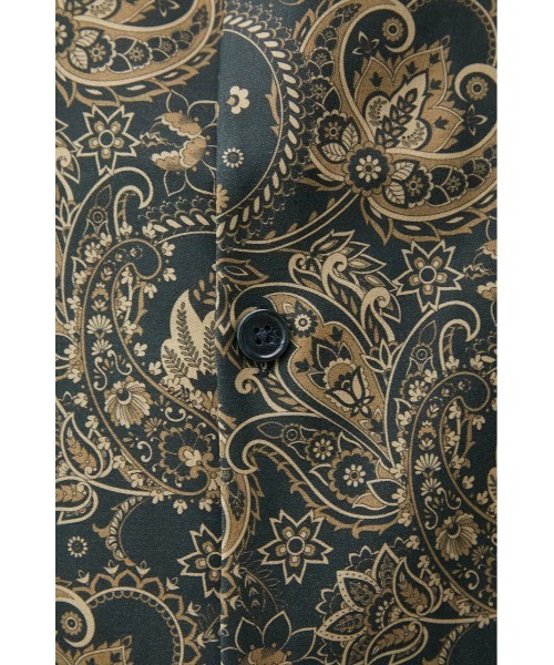 AZUL by moussy（アズールバイマウジー）の「RETRO TOTAL PATTERN VEST/レトロトータルパターンベスト（ベスト・メンズ・ブルー系その他3/ブラウン系その他・FREE）」の21枚目の写真