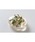 tone�i�g�[���j�́u�yAstyle�zcircle�}�O�l�b�g(MA)�i���̑��G�݁j�v�b�N���A