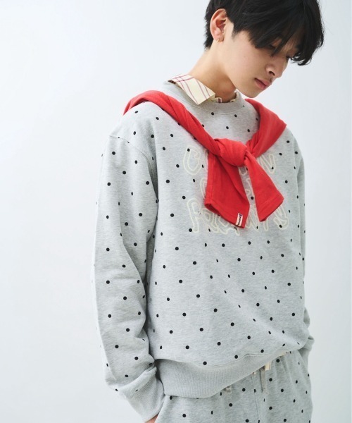 common gull products.(コモンガルプロダクツ)の「ブランコに乗ったcommon gull product. sweat 26spring.(スウェット・レディース・ライトブルー/アイボリー/杢グレー/グレー/ミント/ネイビー・SMALL/MEDIUM/LARGE)」の21枚目の写真