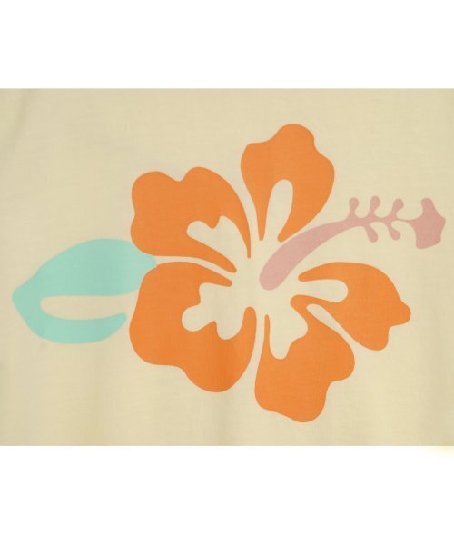 HIGH SCHOOL DISCO（ハイスクールディスコ）の「ヒビスカス半袖クロップTシャツ_レモン（Tシャツ/カットソー・レディース・その他・FREE）」の4枚目の写真