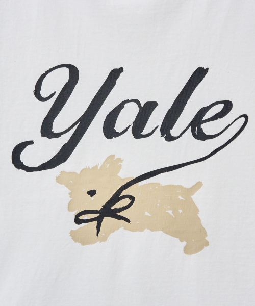 YALE（イェール）の「ウィメンズパピリボンリンガーTシャツ_パープル（Tシャツ/カットソー・レディース・その他・SMALL/MEDIUM/LARGE）」の4枚目の写真