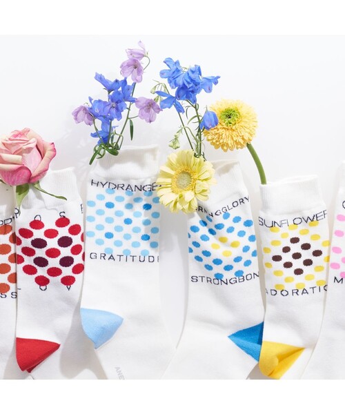 ANEVER（アンエバー）の「【BURNET】DOT FLOWER ソックス（ソックス/靴下・レディース・ホワイト/パープル/ネイビー/レッド/ピンク/イエロー/オレンジ/ブルー/グリーン/ブルー系その他/ピンク系その他/ローズ・F）」の4枚目の写真