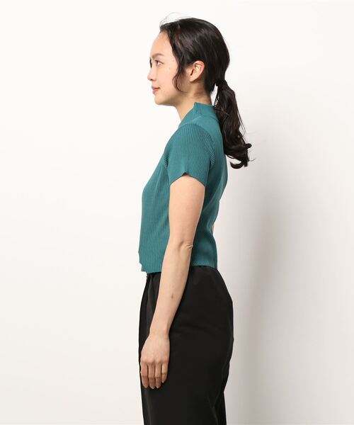 ANAP（アナップ）の「クロップドプチハイネック刺繍リブトップス（T