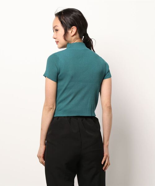 ANAP（アナップ）の「クロップドプチハイネック刺繍リブトップス（T