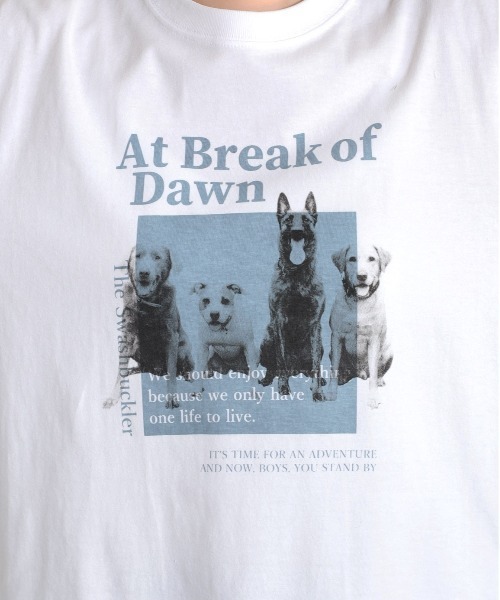 cepo（セポ）の「CATS＆DOGSプリントアソート ロンＴｅｅ（Tシャツ/カットソー・レディース・ホワイト系1/ホワイト系2/ホワイト系3・M）」の20枚目の写真