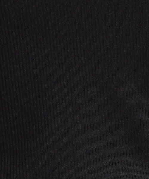 Cutie Blonde(キューティーブロンド)の「【洗濯機可/S-LL】毎日コーデに シアーテレコロンT(Tシャツ/カットソー・レディース・ワインレッド/ブラック/オフホワイト/ダークブラウン・02/01/04/03)」の12枚目の写真