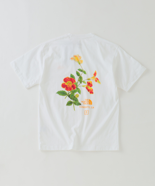 セール】THE NORTH FACE / ノースフェイス ヨセミテ フラワーティー（T
