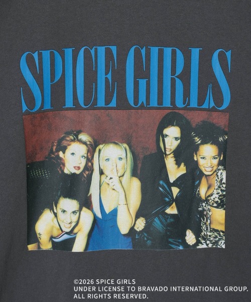 LEPSIM(レプシィム)の「SPICE GIRLS LS 1017579(Tシャツ/カットソー・レディース・オフホワイト/チャコールグレー/ライトブルー・FREE)」の20枚目の写真