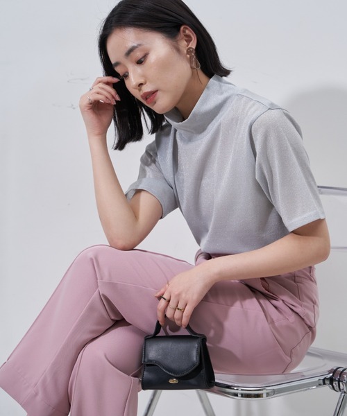 Auntie Rosa（アンティローザ）の「シアーラメTシャツ（Tシャツ/カットソー・レディース・ホワイト/ブラック・FREE）」の16枚目の写真