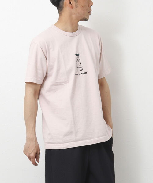 BARNS OUTFITTERS(バーンズアウトフィッターズ)の「【BARNS OUTFITTERS/バーンズアウトフィッターズ】別注プリントTシャツ come as you are(Tシャツ/カットソー・メンズ・ブラック/グレイッシュベージュ/ホワイト/ベビーピンク・M/S/L)」の14枚目の写真