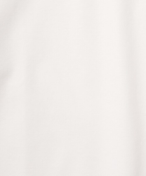 DRESSTERIOR（ドレステリア）の「◆【干場義雅×DRESSTERIOR】【接触冷感/抗菌防臭/消臭】ショートスリーブオーバーサイズTシャツ（Tシャツ/カットソー・メンズ・ブラック/ホワイト・92/91/90/94）」の22枚目の写真