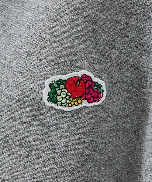 FRUIT OF THE LOOM(フルーツオブザルーム)の「【FRUIT OF THE LOOM/フルーツ オブ ザ ルーム】 25FW PRINT HOODIE2/フーディ/お出かけ/スウェット/リラックス【WEB限定】(スウェット・レディース・ホワイト/グレー/ネイビー/ブラック・フリー)」の16枚目の写真