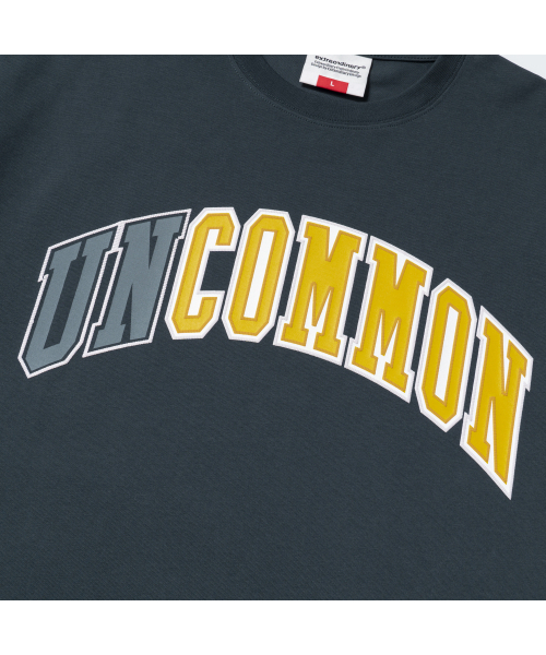 EXTRAORDINARY(エクストラオーディナリー)の「COMMON TEE NAVY(Tシャツ/カットソー・メンズ・その他・MEDIUM/LARGE/X-LARGE/XX-LARGE)」の5枚目の写真