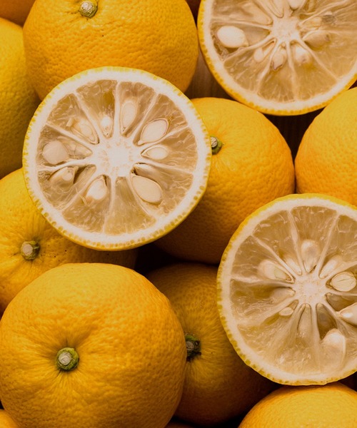 OSAJI(オサジ)の「オサジ スムージング シャンプー Yuzu〈ユズ〉【数量限定】(シャンプー・レディース・その他・FREE)」の5枚目の写真
