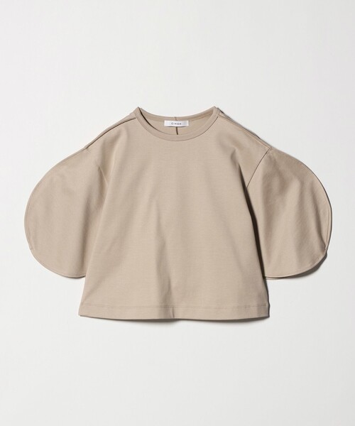 CINOH(�`�m)�́�CINOH��ENSO �N���b�v�h �J�b�g�\�[(T�V���c/�J�b�g�\�[)