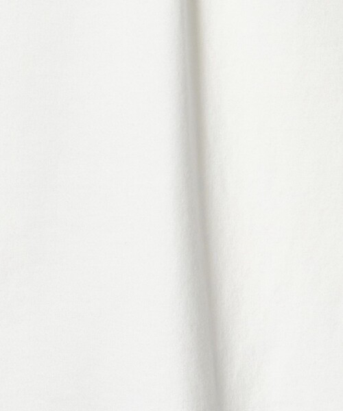 Healthknit(ヘルスニット)の「<Healthknit × CGS.>2ボタン ヘンリーネック Tシャツ(Tシャツ/カットソー・メンズ・ホワイト/ライトブルー/ダークグレー・L/M/S)」の5枚目の写真