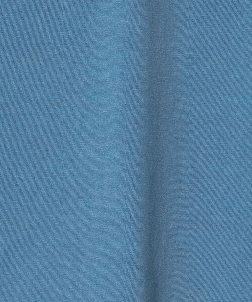 Healthknit(ヘルスニット)の「<Healthknit × CGS.>2ボタン ヘンリーネック Tシャツ(Tシャツ/カットソー・メンズ・ホワイト/ライトブルー/ダークグレー・L/M/S)」の8枚目の写真