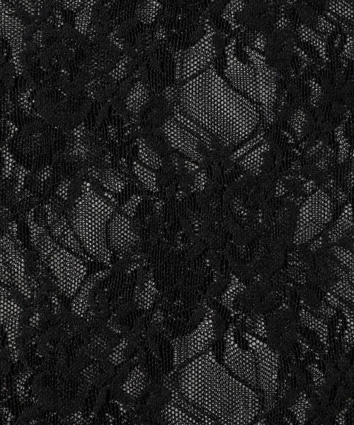 HARE（ハレ）の「レースシアーT(HARE)（Tシャツ/カットソー・レディース・ホワイト/ブラック・FREE）」の4枚目の写真