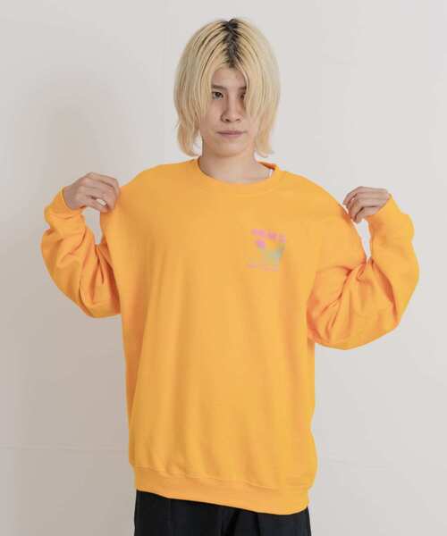 PARKS PROJECT(パークスプロジェクト)の「PARKS PROJECT NATIONAL PARKS SWEAT(スウェット・メンズ・グリーン/イエロー・MEDIUM/LARGE)」の6枚目の写真