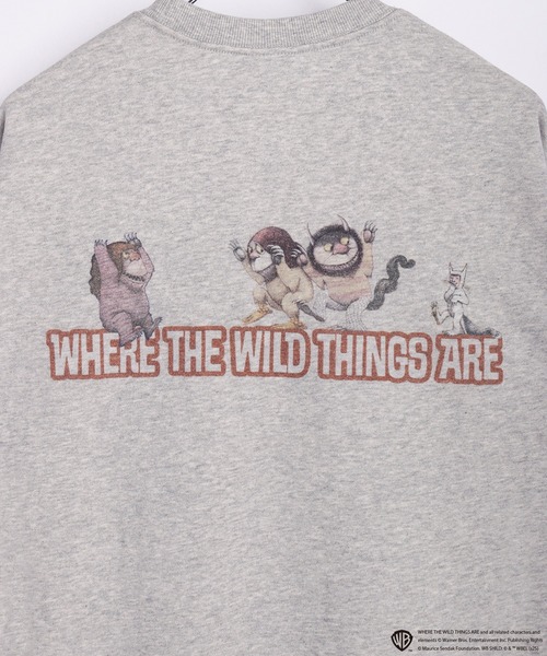 WESTSEA(ウエストシー)の「かいじゅうたちのいるところ / WHERE THE WILD THINGS ARE 裏毛トレーナー 長袖(スウェット・メンズ・ブラック/グレー系その他/ブラック系その他/ベージュ・M/L)」の16枚目の写真