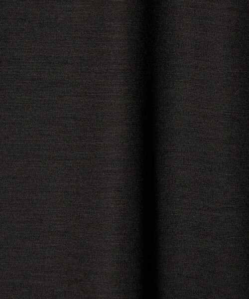 Steven Alan（スティーブンアラン）の「＜Steven Alan＞ メリノウール クルーネック ショートスリーブ Tシャツ（Tシャツ/カットソー・メンズ・オリーブ/ダークブラウン・XL/L/M/S）」の20枚目の写真