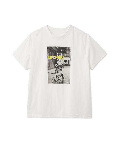 FRAY I.D(フレイアイディー)の「オーバーサイズフォトプリントTシャツ(Tシャツ/カットソー・レディース・イエロー/グリーン/ピンク・F)」の4枚目の写真
