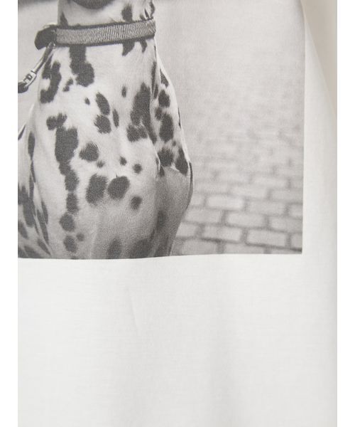 FRAY I.D(フレイアイディー)の「オーバーサイズフォトプリントTシャツ(Tシャツ/カットソー・レディース・イエロー/グリーン/ピンク・F)」の12枚目の写真
