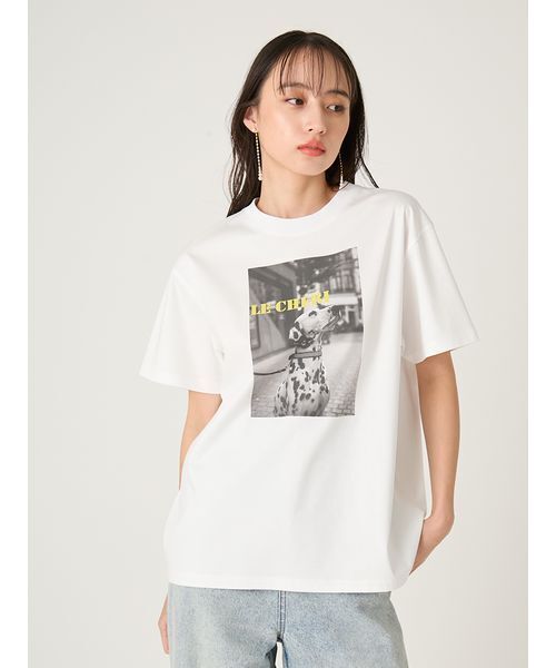 FRAY I.D(フレイアイディー)の「オーバーサイズフォトプリントTシャツ(Tシャツ/カットソー・レディース・イエロー/グリーン/ピンク・F)」の13枚目の写真