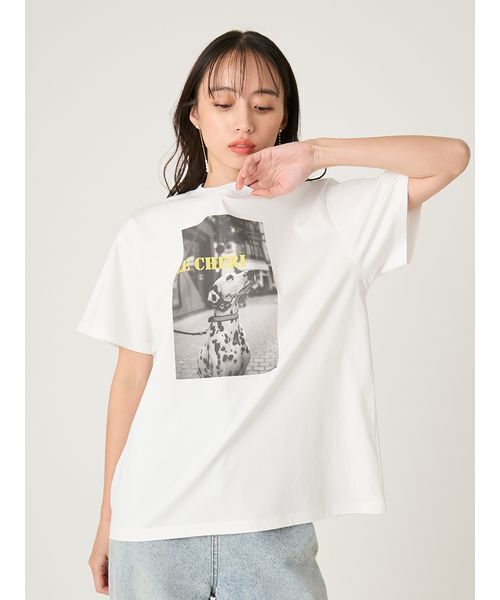 FRAY I.D(フレイアイディー)の「オーバーサイズフォトプリントTシャツ(Tシャツ/カットソー・レディース・イエロー/グリーン/ピンク・F)」の14枚目の写真
