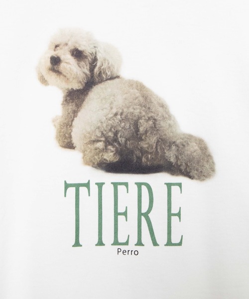 WEGO（ウィゴー）の「WEGO/リアリティアニマルロンT（Tシャツ/カットソー・レディース・その他2/その他3/その他1・FREE）」の11枚目の写真