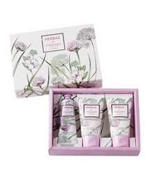HERBAE L'OCCITANE エルバブランシュ 3点セット HERBAE L´OCCITANE エルバブランシュ 3点セット-新品未読品