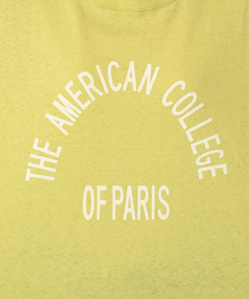 RIDING HIGH（ライディングハイ）の「《追加2》別注【RIDING HIGH/ライディングハイ】ラフィ天竺Tシャツ（Tシャツ/カットソー・レディース・ホワイト/ブラック/ベージュ/パープル/グリーン系その他・FREE）」の7枚目の写真