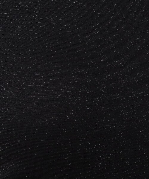 UNTITLED（アンタイトル）の「リーベルラメベア天竺タンクトップ（タンクトップ・レディース・ライトグレー/ブラック/ベージュ・44/48/00/02/04）」の15枚目の写真