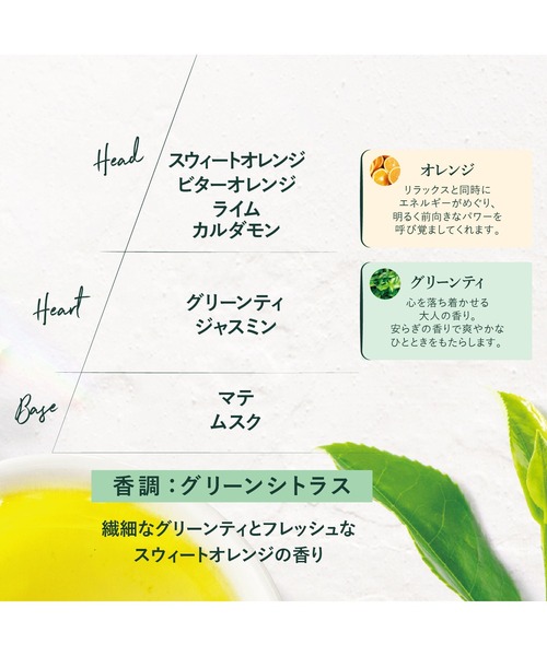 L'OCCITANE（ロクシタン）の「グリーンティ ハンドクリーム BOX入り（ハンドケア/ハンドクリーム・レディース・その他・FREE）」の5枚目の写真