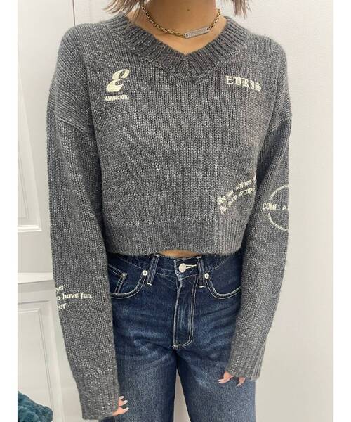 EVRIS（エヴリス）の「Embroideryニットトップス（ニット/セーター・レディース・グレー/ブラック/アイボリー/ネイビー・FREE）」の16枚目の写真