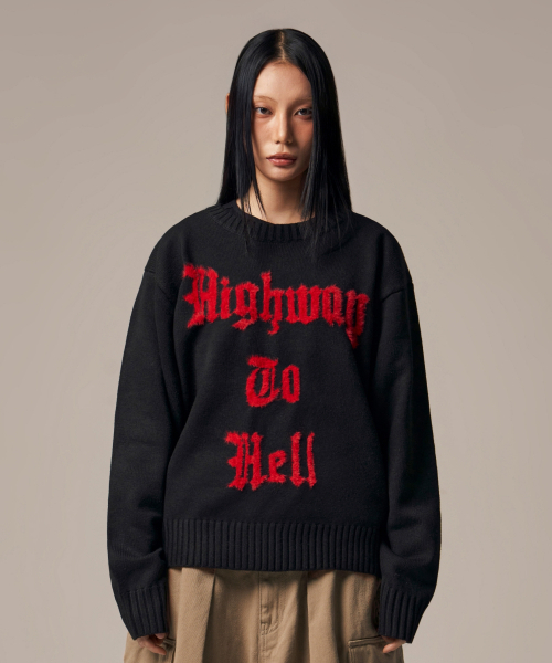 IDWS(アイドンワナセル)の「Hellride Crewneck Knit Black(ニット/セーター・レディース・その他・1/2)」の17枚目の写真