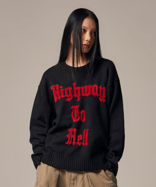 IDWS(アイドンワナセル)の「Hellride Crewneck Knit Black(ニット/セーター・レディース・その他・1/2)」の5枚目の写真