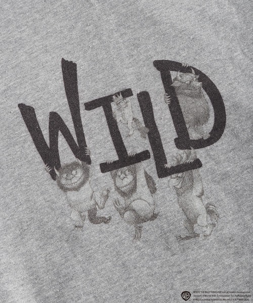 WESTSEA(ウエストシー)の「かいじゅうたちのいるところ / WHERE THE WILD THINGS ARE 裏毛 フルジップパーカー 長袖(パーカー・メンズ・ブラック/グレー/グレー系その他/ブラック系その他・M/L)」の13枚目の写真