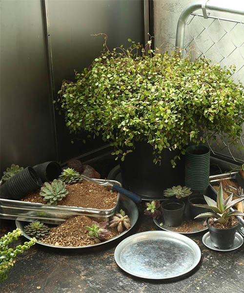 DULTON(ダルトン)の「GALVANIZED ROUND TRAY XS/ガルバナイズド ラウンド トレイ XS(収納グッズ・メンズ・シルバー・FREE)」の2枚目の写真