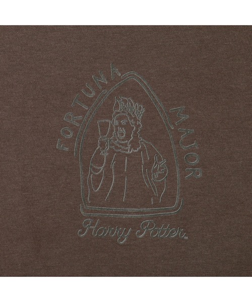 Rendez-Vous（ランデヴー）の「【 Harry Potter 】 ハリー・ポッター Ｔシャツ（Tシャツ/カットソー・レディース・その他1/その他3/その他4/その他2・LARGE/X-LARGE）」の14枚目の写真