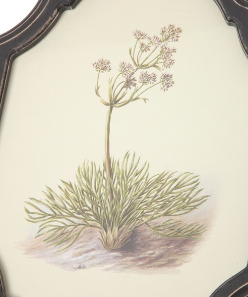 studio CLIP（スタディオクリップ）の「【daily CLIP】クラシックフレームＬ（フォトフレーム・レディース・ホワイト/ブラック・FREE）」の8枚目の写真