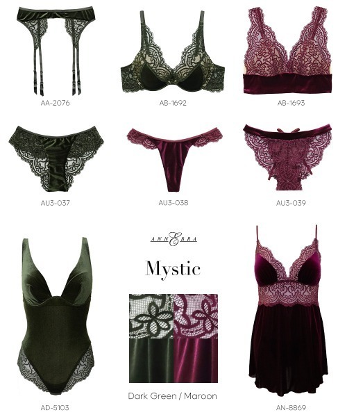 Velvet ベロア×レースバックデザインショーツ（ショーツ）｜ANNEBRA