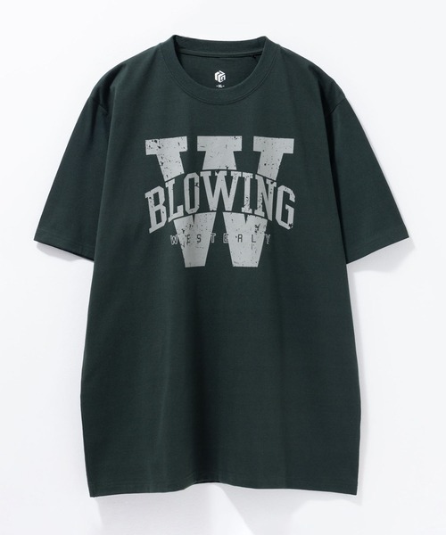 Mac-House（マックハウス）の「T-GRAPHICS カレッジロゴ半袖Ｔシャツ（Tシャツ/カットソー・メンズ・ネイビー/ホワイト/レッド/グリーン/ダークグリーン・S/M/L/XL）」の9枚目の写真