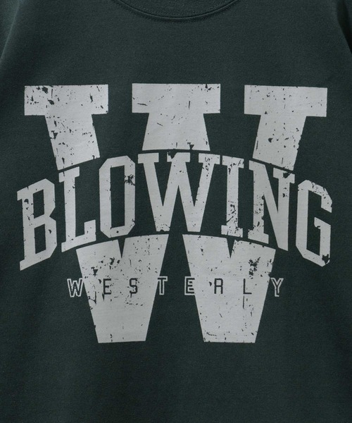 Mac-House（マックハウス）の「T-GRAPHICS カレッジロゴ半袖Ｔシャツ（Tシャツ/カットソー・メンズ・ネイビー/ホワイト/レッド/グリーン/ダークグリーン・S/M/L/XL）」の11枚目の写真