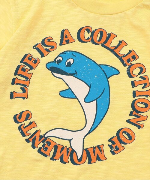 BREEZE（ブリーズ）の「【ジュニア対応】4柄アニマル半袖Tシャツ（Tシャツ/カットソー・キッズ・レッド/ブラウン/チャコール/イエロー・80/90/100/110/120/140/130）」の13枚目の写真