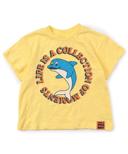 BREEZE（ブリーズ）の「【ジュニア対応】4柄アニマル半袖Tシャツ（Tシャツ/カットソー・キッズ・レッド/ブラウン/チャコール/イエロー・80/90/100/110/120/140/130）」の18枚目の写真