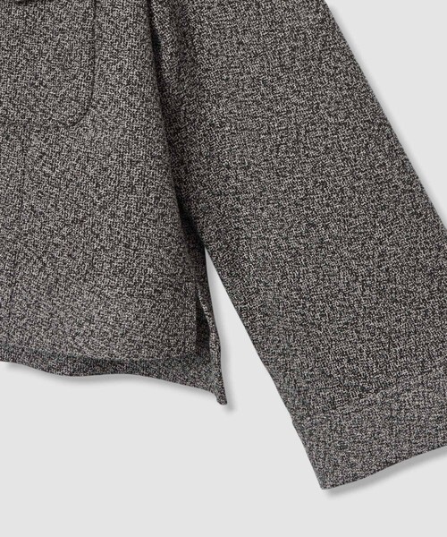 ANAYI(アナイ)の「【セットアップ対応商品】ハードカラミステンカラーブルゾン(その他アウター・レディース・トップグレー/ブラック・38/36/34)」の13枚目の写真