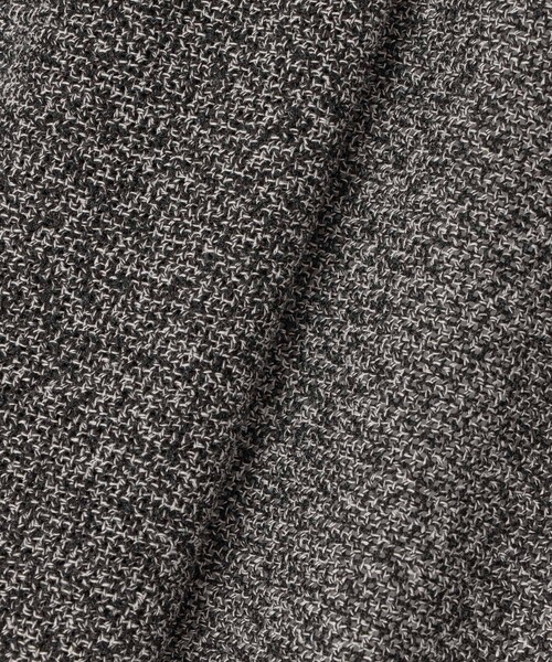 ANAYI(アナイ)の「【セットアップ対応商品】ハードカラミステンカラーブルゾン(その他アウター・レディース・トップグレー/ブラック・38/36/34)」の18枚目の写真